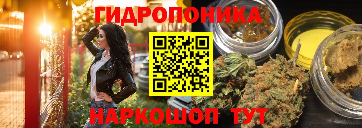 Бошки марихуана сатива Сосновоборск